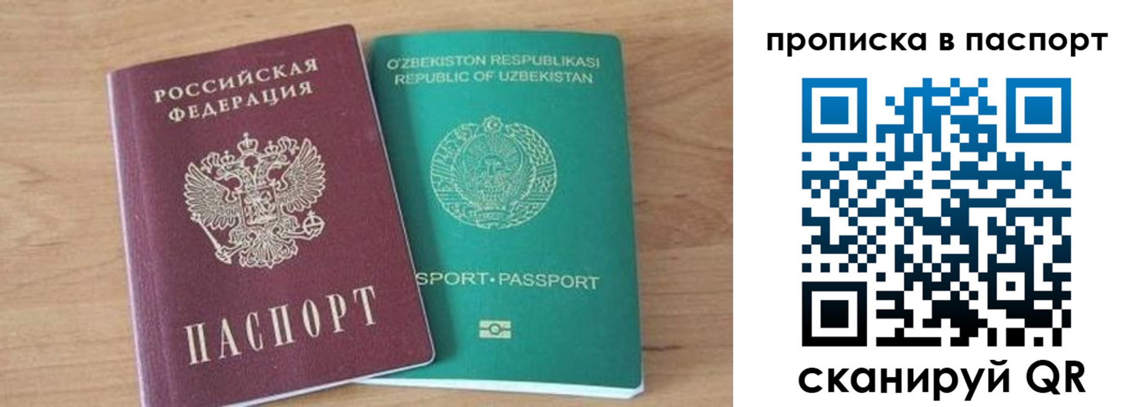 прописка в Александрове